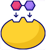 Enzym dat het belang van pH in de biologie symboliseert